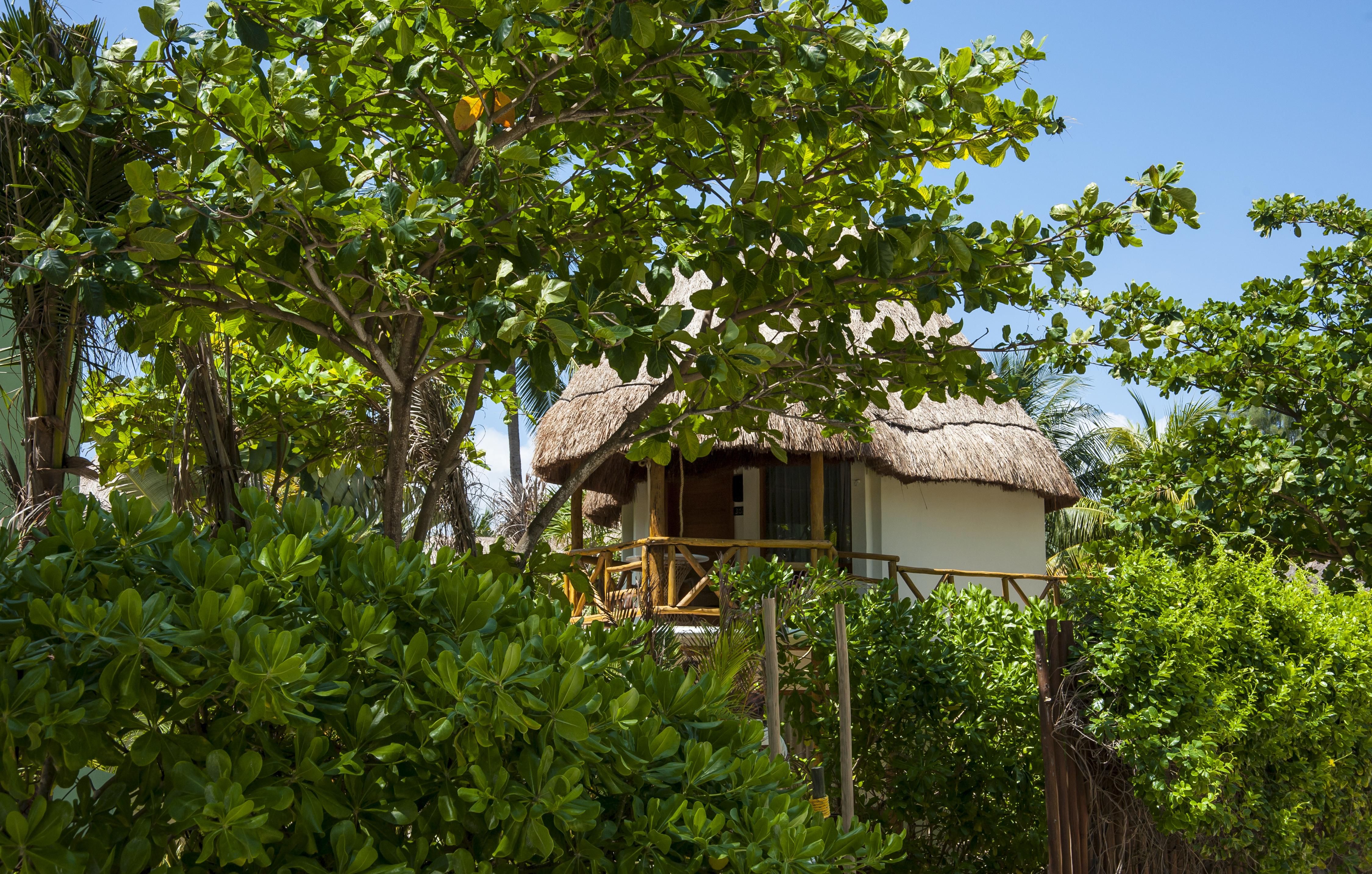 Mahekal Beach Front Resort & Spa Playa del Carmen Bagian luar foto